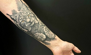 ����������